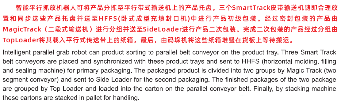 专业制造智能工业机器人包装流水线 - 07-智能包装流水线 - 2