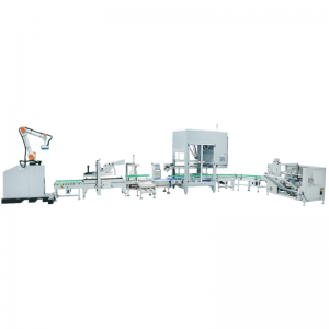 HC-1000 高速开箱装箱封箱全自动包装线